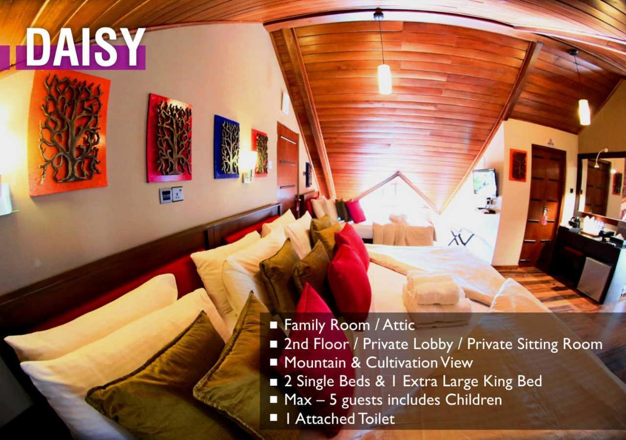 Glory Bush Boutique Villa Нувара Елия Екстериор снимка