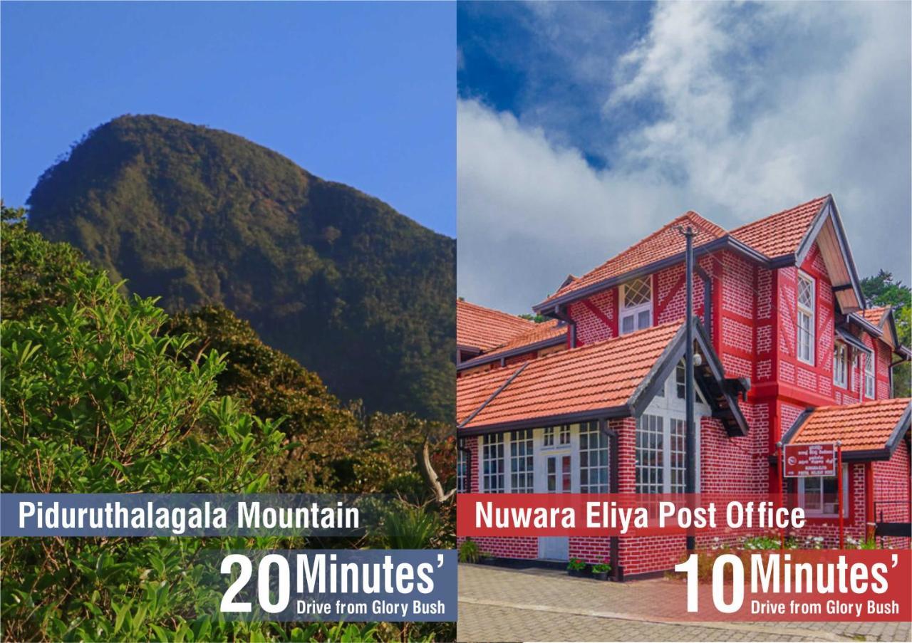 Glory Bush Boutique Villa Нувара Елия Екстериор снимка