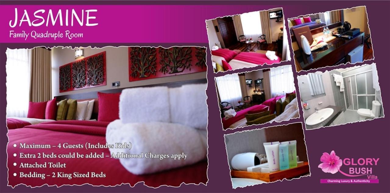 Glory Bush Boutique Villa Нувара Елия Екстериор снимка