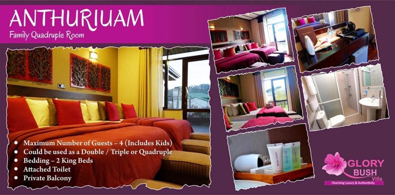 Glory Bush Boutique Villa Нувара Елия Екстериор снимка