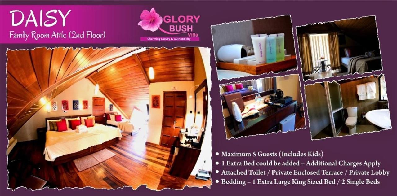 Glory Bush Boutique Villa Нувара Елия Екстериор снимка